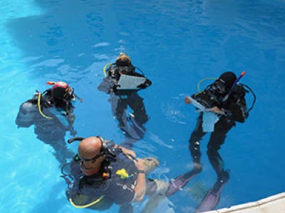 PADI Diving Staff Instructor Course in Hurghada, Egypt, Red Sea