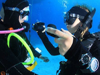 PADI Diving Open Water Diver  Course in Hurghada, Egypt, Red Sea